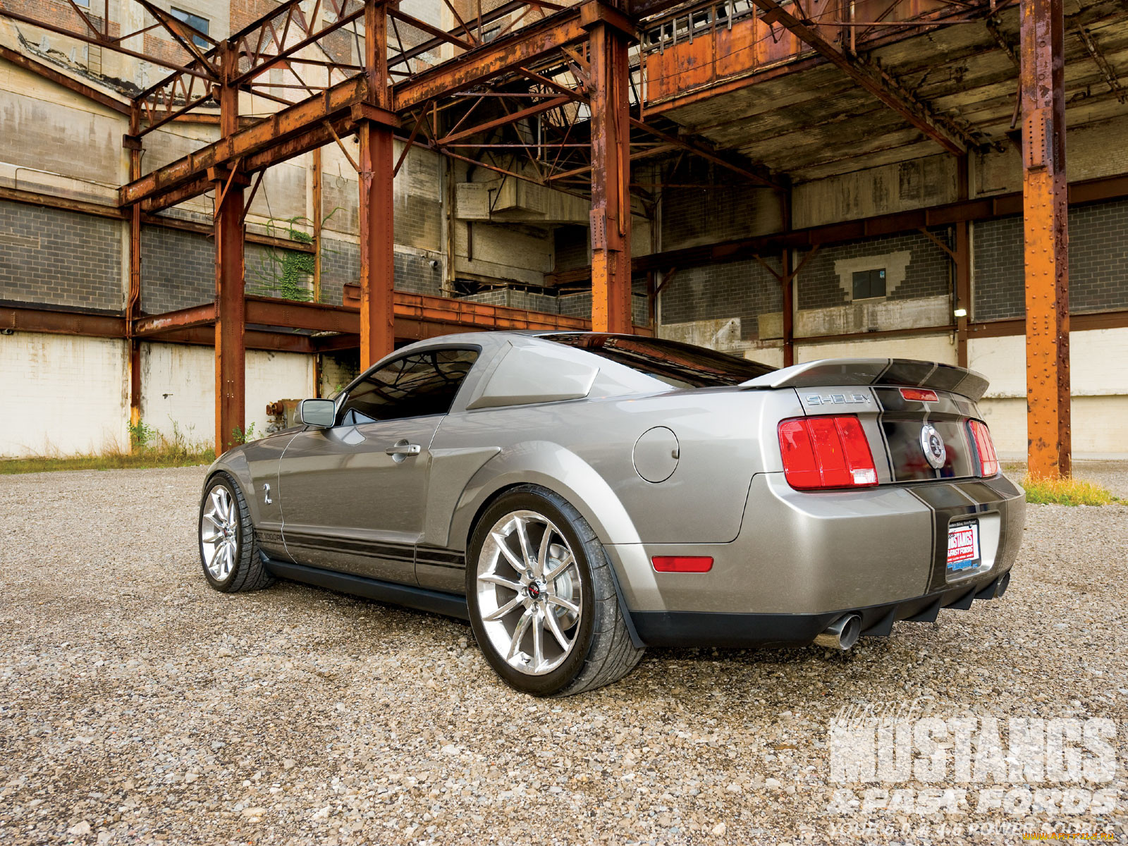 , mustang